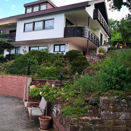 Apartment Lieblingsort 크루즈월타임 외부 사진